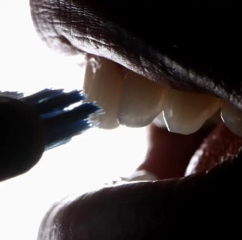 Boca Raton Cintia De Bettio, DMD & Howard Kestenberg, DDS