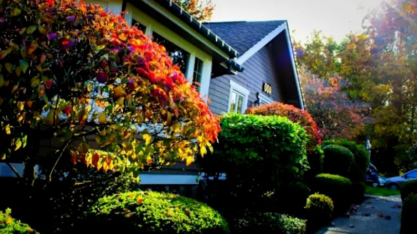 Renton O'Brien Children's Dentistry & Orthodontics