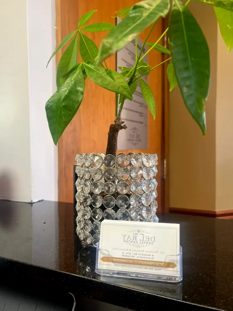 Alexandria Del Ray Dental Center