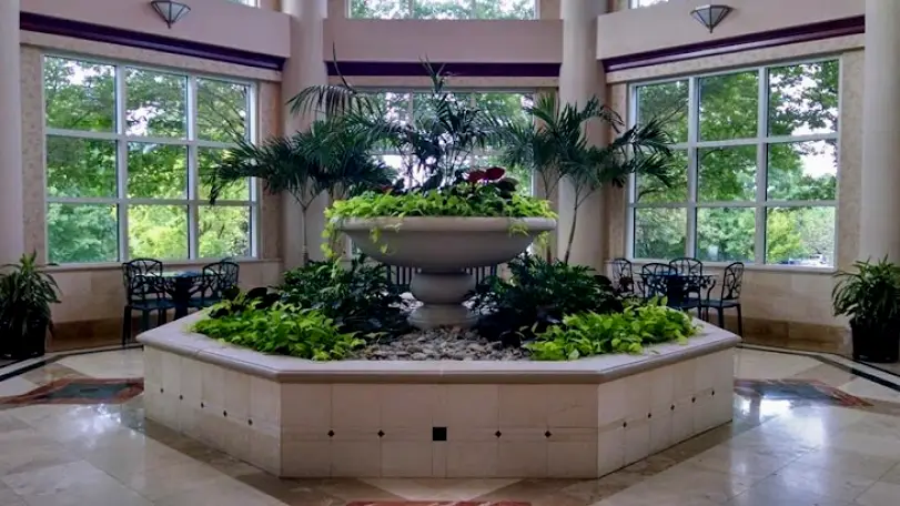  Cary Dental Center