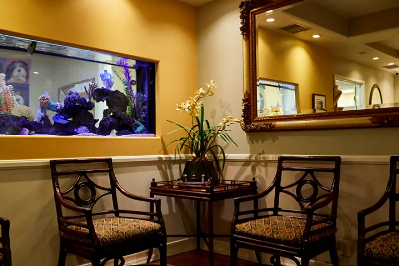 Long Beach Holistic Dental Wellness Center - Iman Abdeshahian, DMD