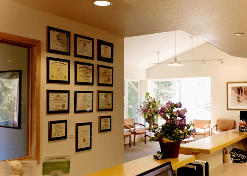 Lake Arrowhead Arrowhead Dental Arts, Joseph D. Morales, DDS